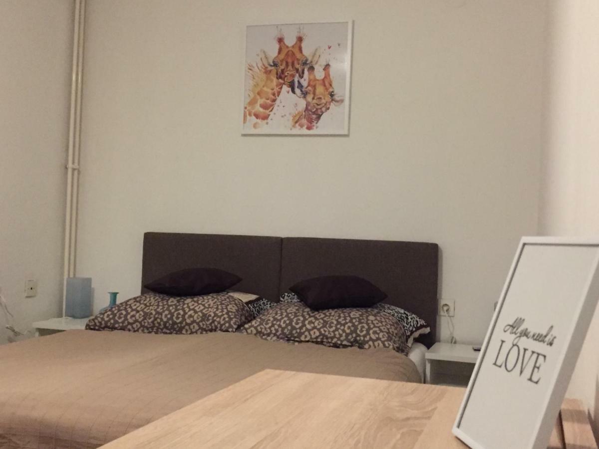 Apartment 卡尔洛瓦茨 外观 照片